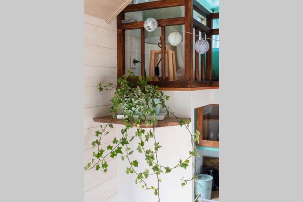 فيلا Tiny House En Baie Du Mont-Saint-Michel دول دي بْروتانْيِ المظهر الخارجي الصورة